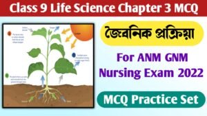 Class 9 Life Science Chapter 3 MCQ